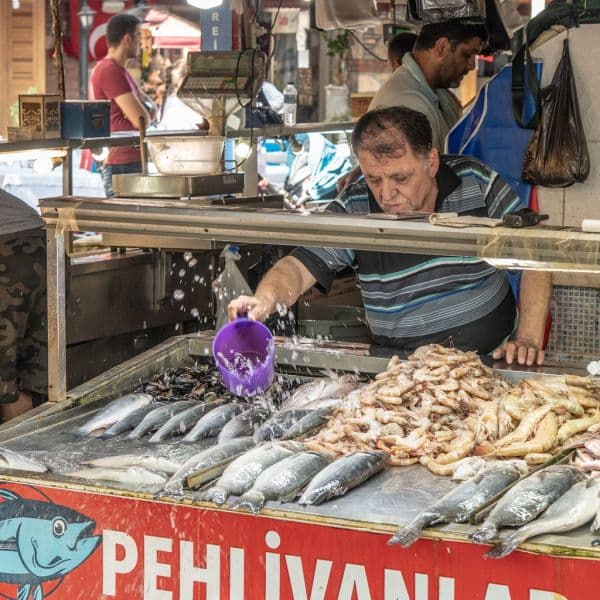 Koy bağlantıları Göcek