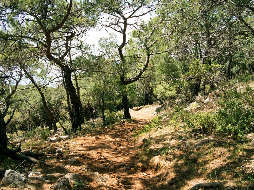 Kumluca Olympos bağlantısı otel transferleri